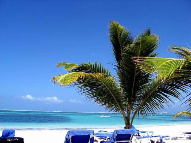 מלון Larimar Beach פונטה קאנה מראה חיצוני תמונה